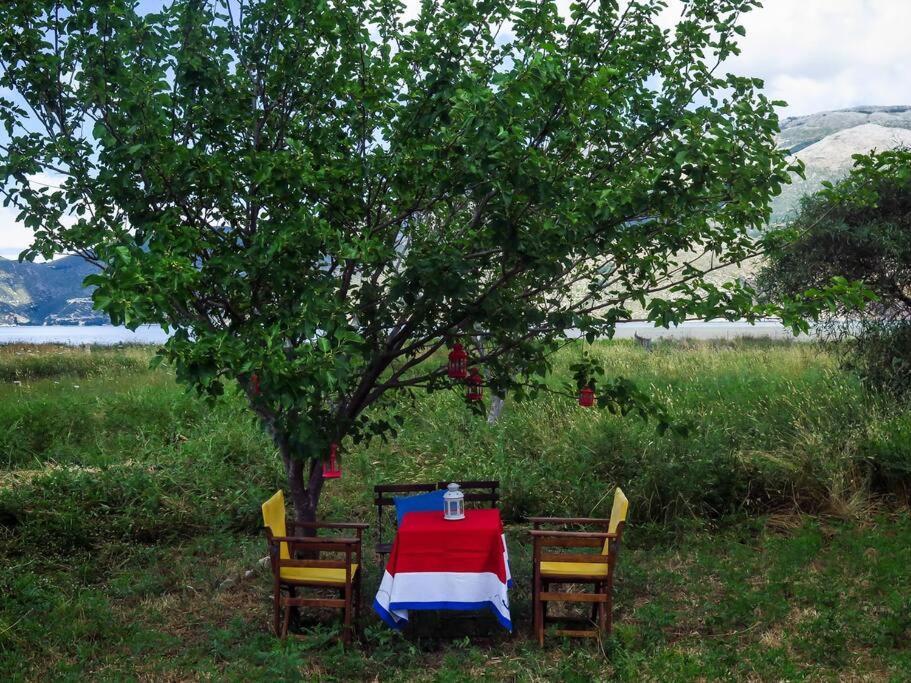 Villa Rania: Ευάερη Βίλα Με Θέα Τη Θάλασσα Lixouri Dış mekan fotoğraf