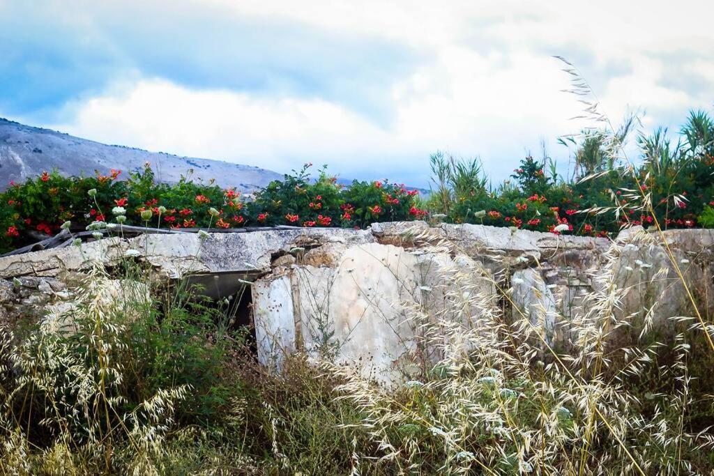 Villa Rania: Ευάερη Βίλα Με Θέα Τη Θάλασσα Lixouri Dış mekan fotoğraf