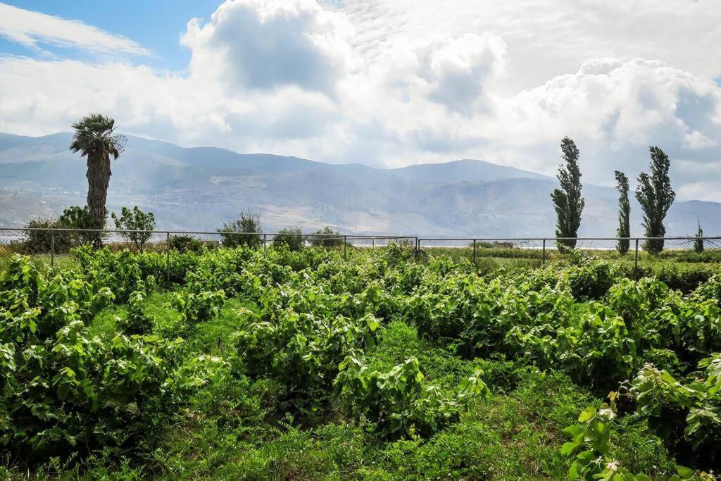 Villa Rania: Ευάερη Βίλα Με Θέα Τη Θάλασσα Lixouri Dış mekan fotoğraf