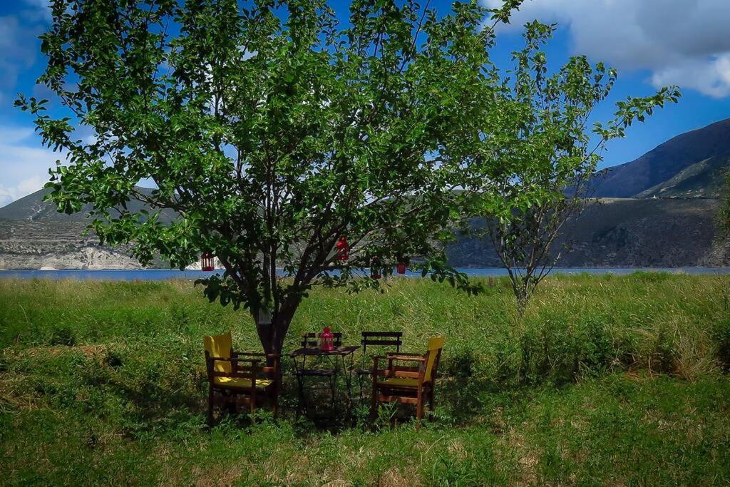 Villa Rania: Ευάερη Βίλα Με Θέα Τη Θάλασσα Lixouri Dış mekan fotoğraf